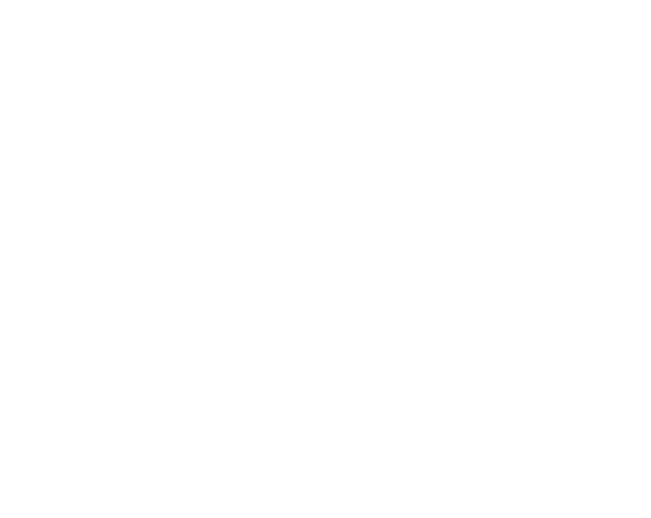 Współpraca Graficzna dla Producentów i Importerów